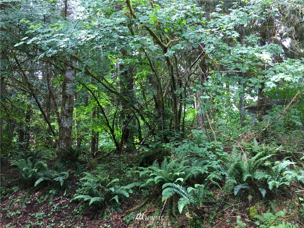 15023 Iceberg Road Glacier, WA 98244 - Photo 2 of 6 Gallery Image 2