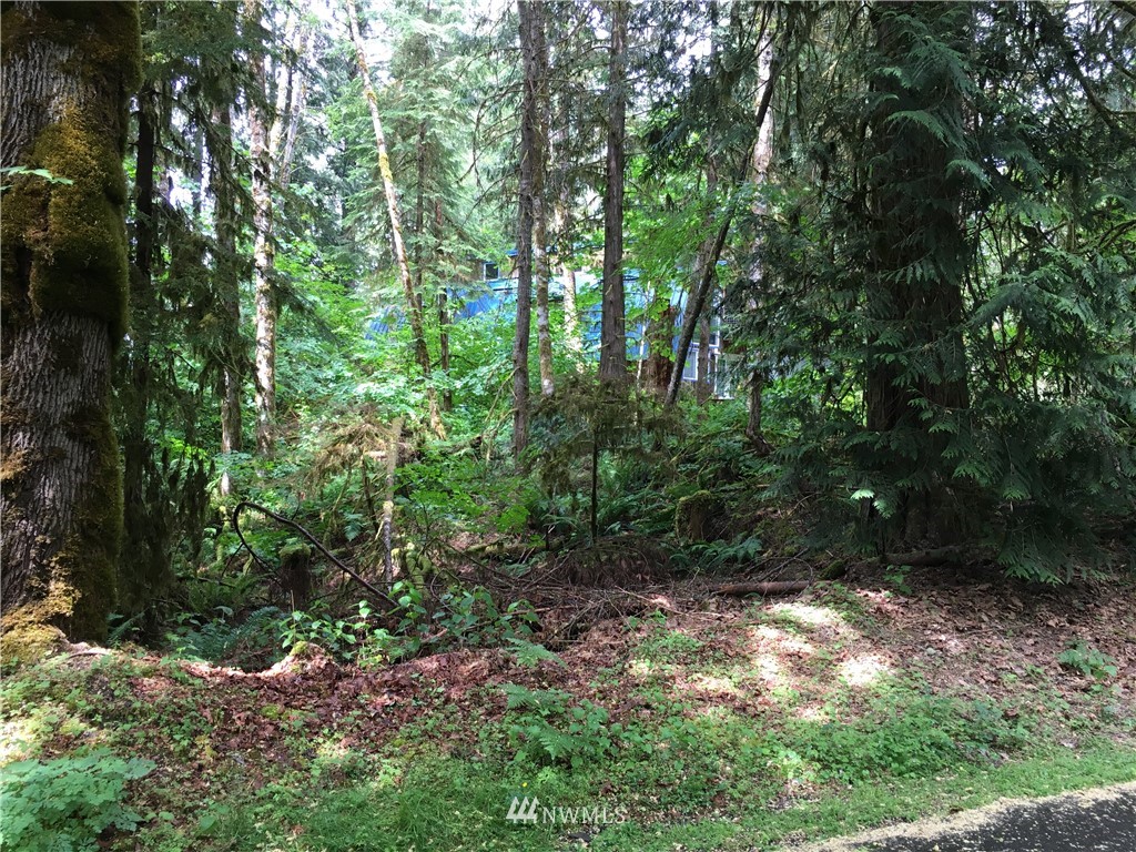 15023 Iceberg Road Glacier, WA 98244 - Photo 3 of 6 Gallery Image 3