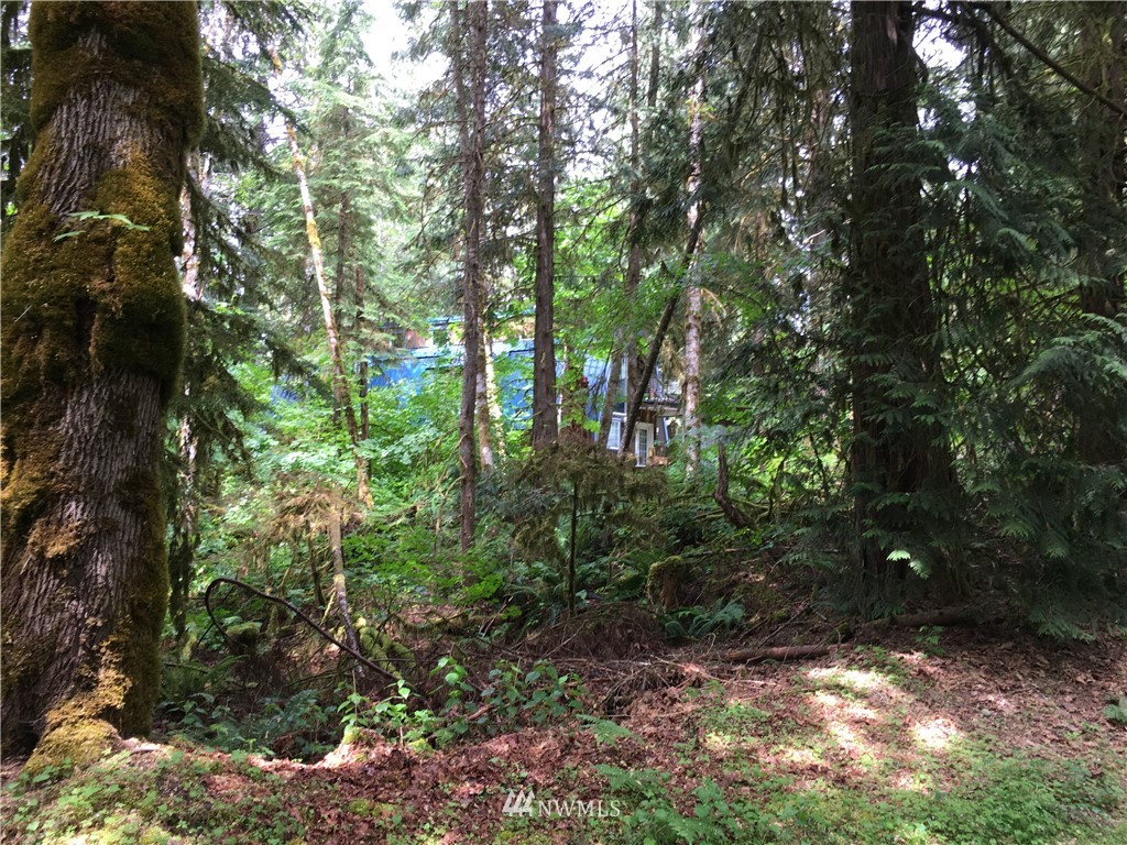 15023 Iceberg Road Glacier, WA 98244 - Photo 4 of 6 Gallery Image 4