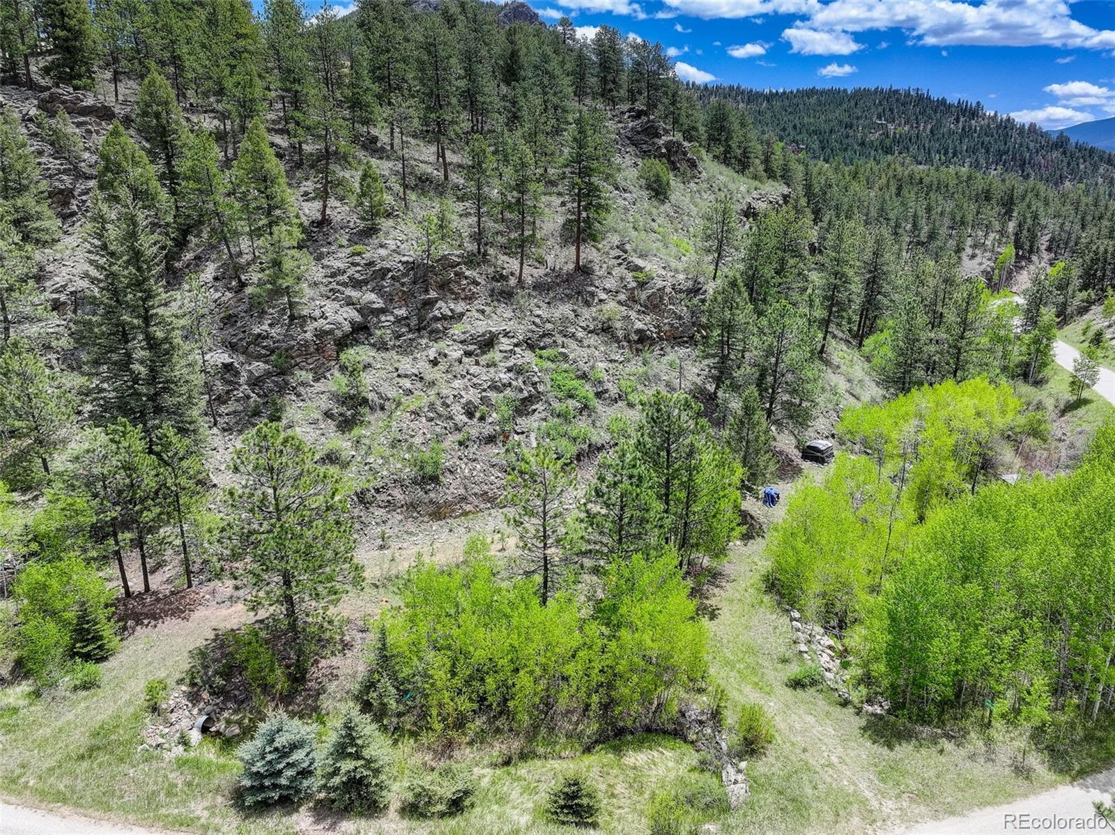 400 Crow Valley Road Bailey, CO 80421 - Photo 3 of 28