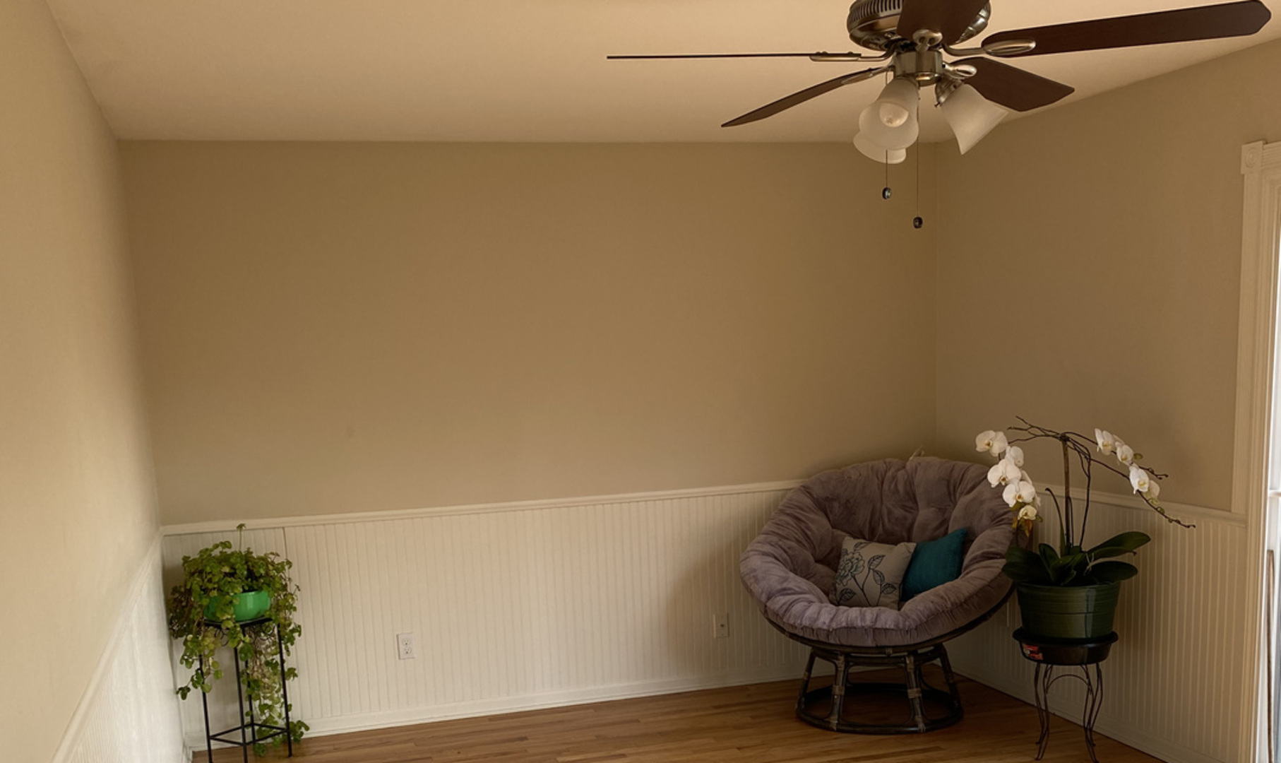1805 Rita Avenue St. Charles, IL 60174 - Photo 5 of 17 a living room with furniture and a potted plant