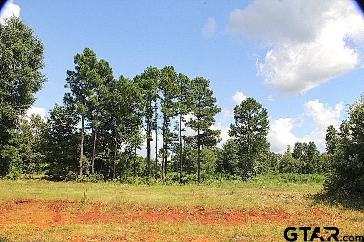 930 Stone Chimney Road Bullard, TX 75757 - Photo 1 of 7 a view of a yard with a tree