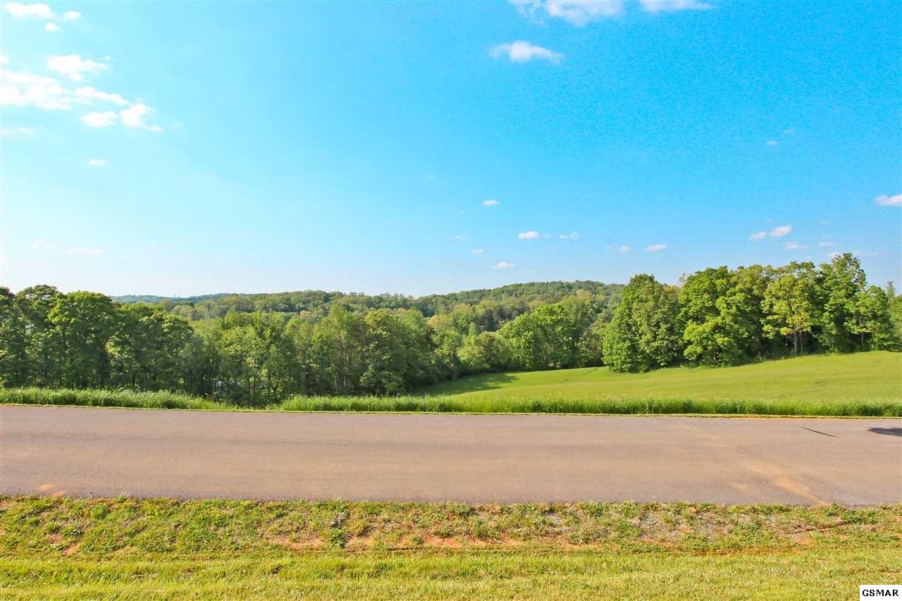 143 Tranquility Ridge Drive Newport, TN 37821 - Photo 4 of 20 Gallery Image 4