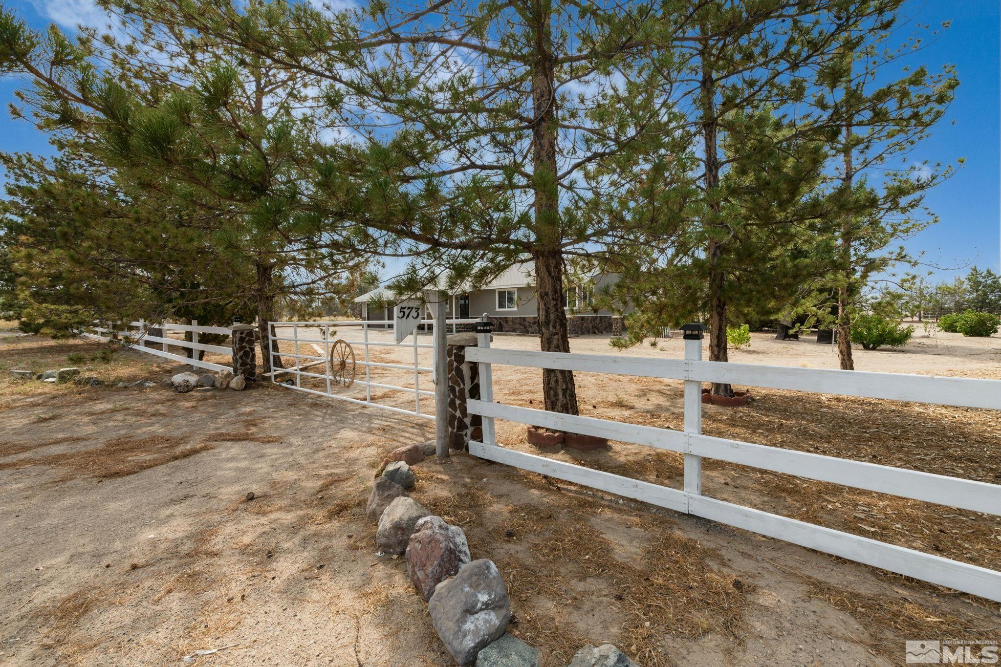 573 Pete Henrichs Road Yerington, NV 89447 - Photo 4 of 39 Photo 4