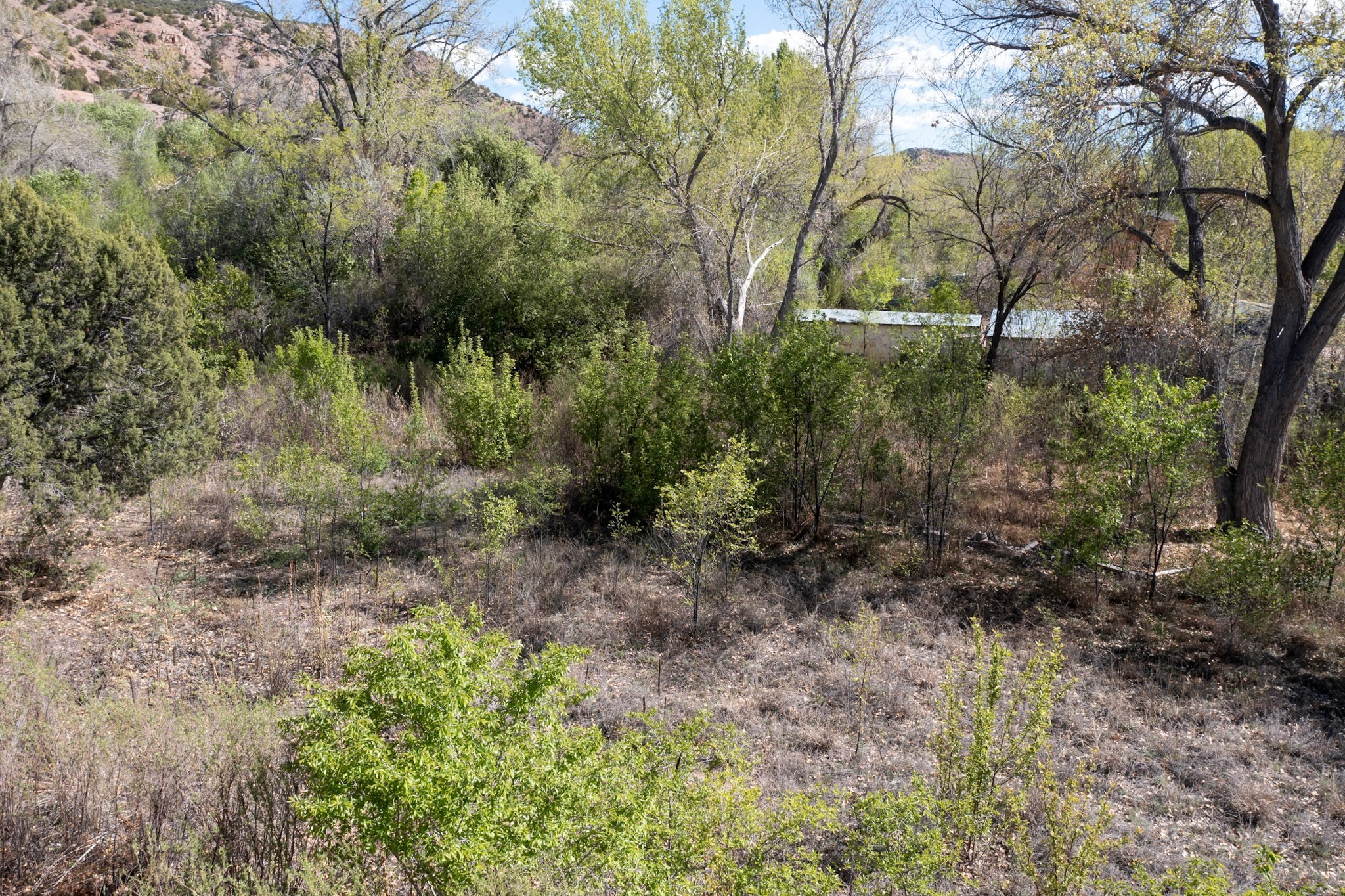 332 Juan Medina Road Chimayo, NM 87522 - Photo 2 of 17