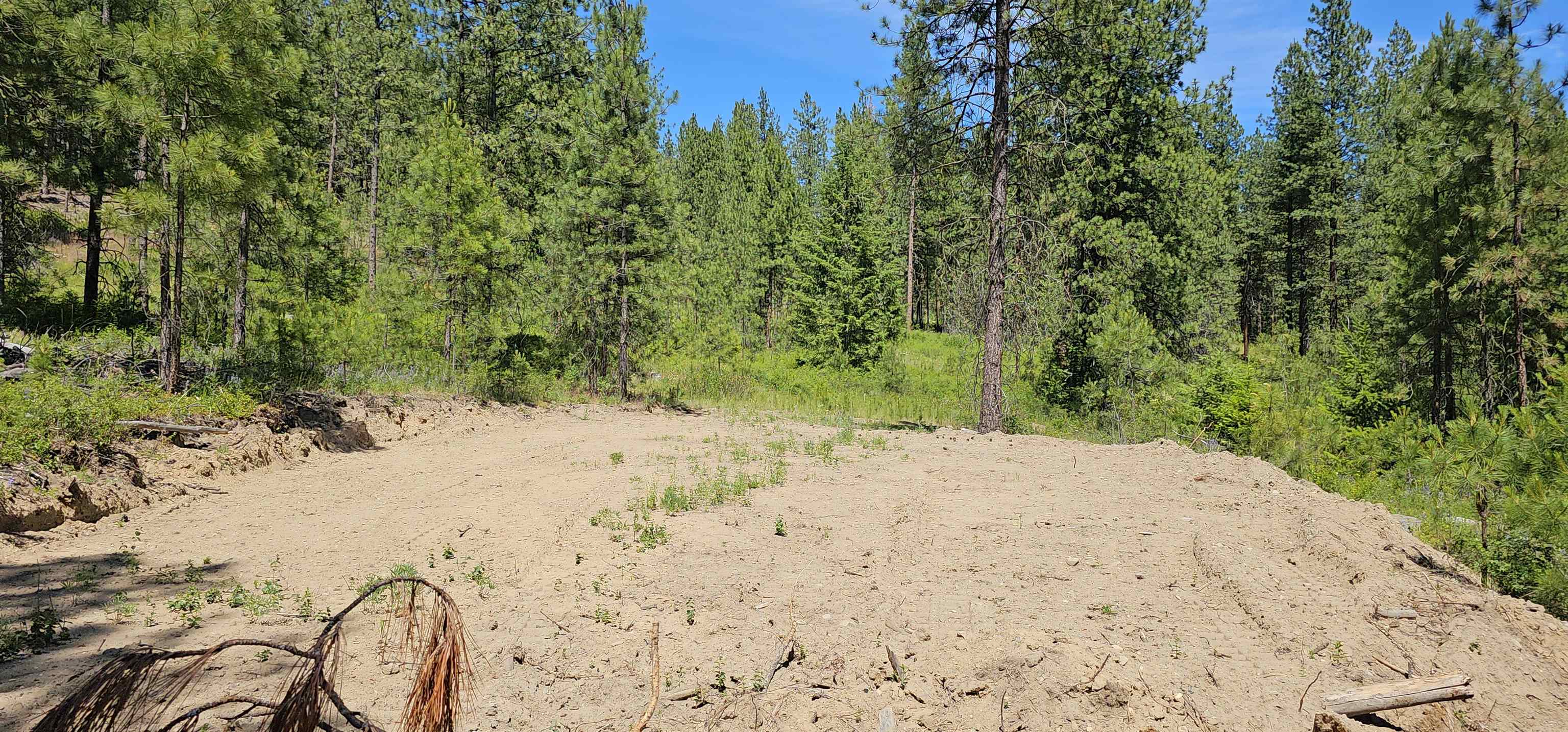 20 X Lynx Road Inchelium, WA 99138 - Photo 9 of 38 Gallery Image 9