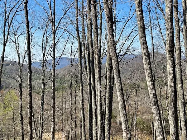 $30,000 | Undisclosed Address, Hayesville, NC 28904