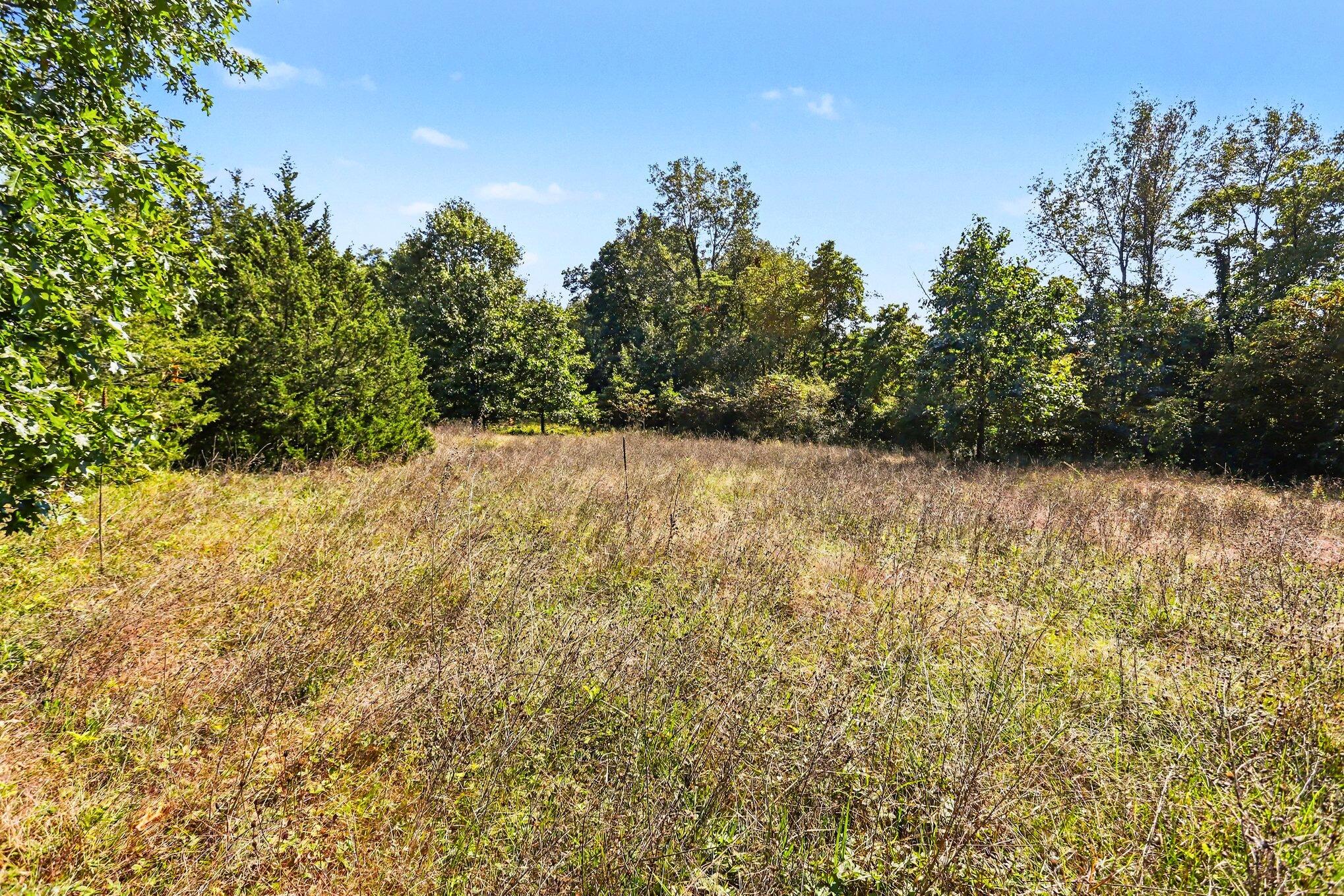 0 Hoshel Road Three Rivers, MI 49093 - Photo 6 of 19 6 _ Hoshel Road