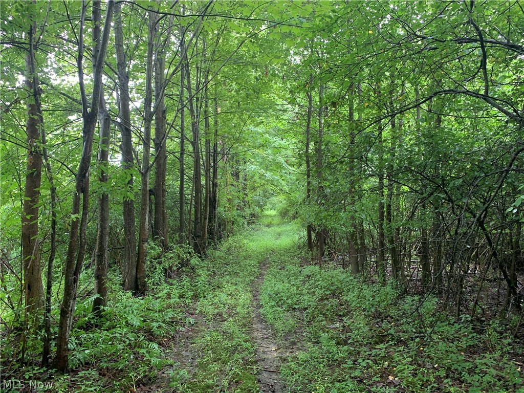 South Ridge Road Conneaut, OH 44030 - Photo 14 of 24