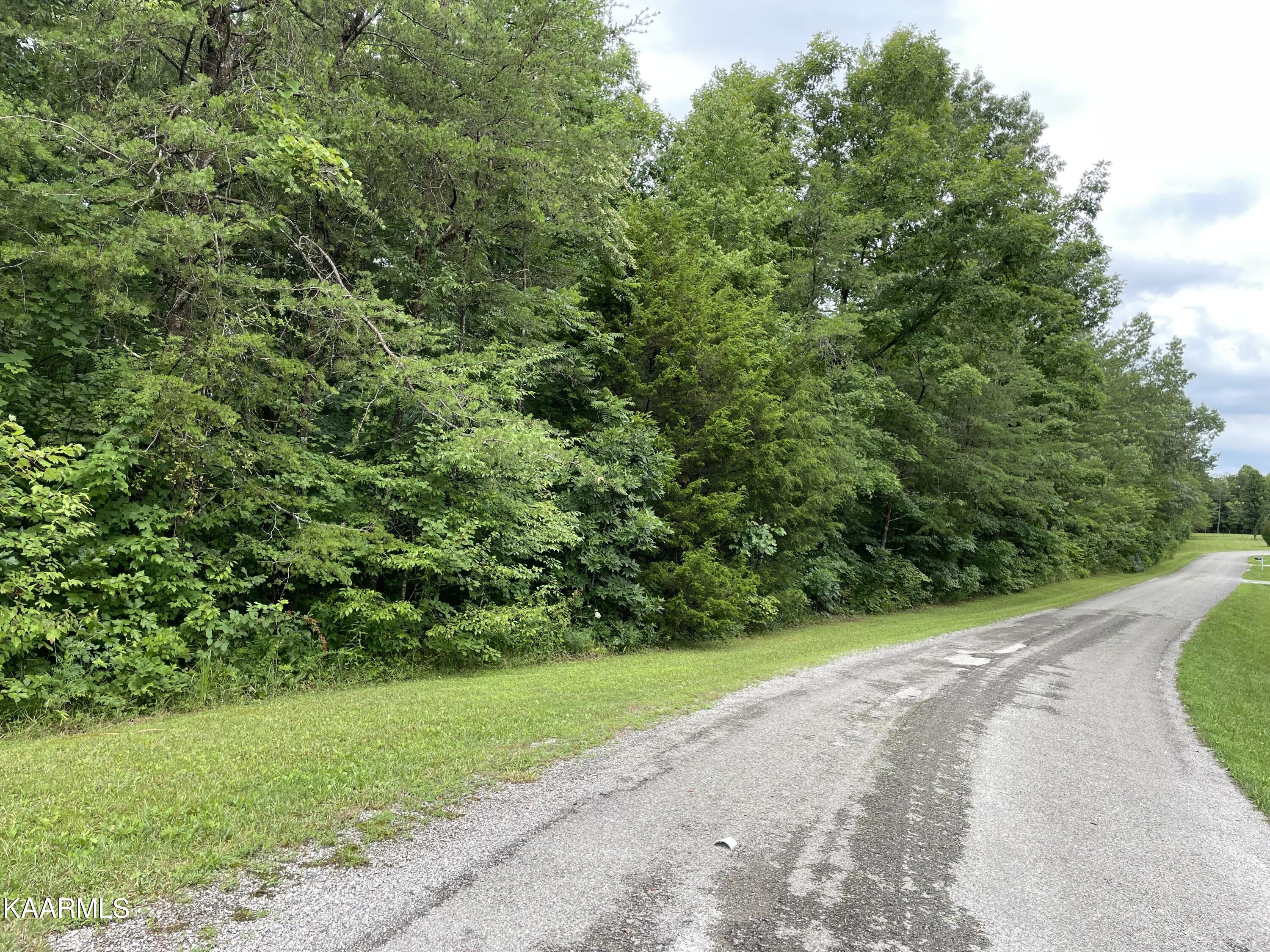Bear Creek Road Crossville, TN 38571 - Photo 2 of 23 IMG_8437