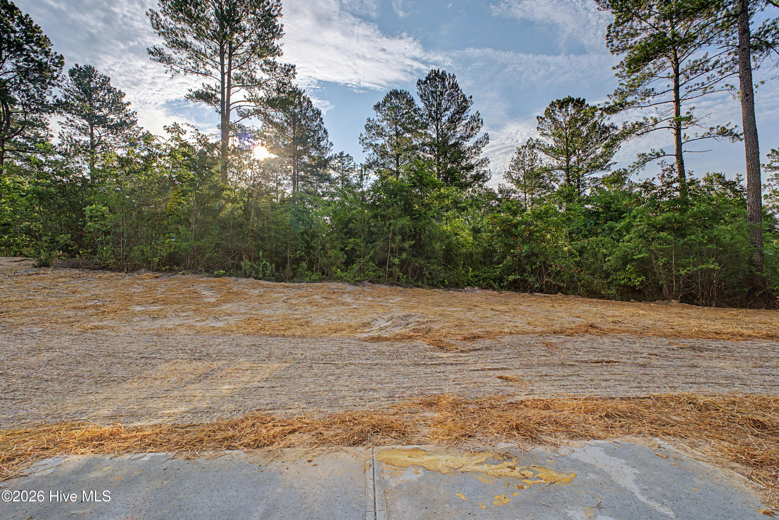 4416 Seago Road Hephzibah, GA 30815 - Photo 26 of 28