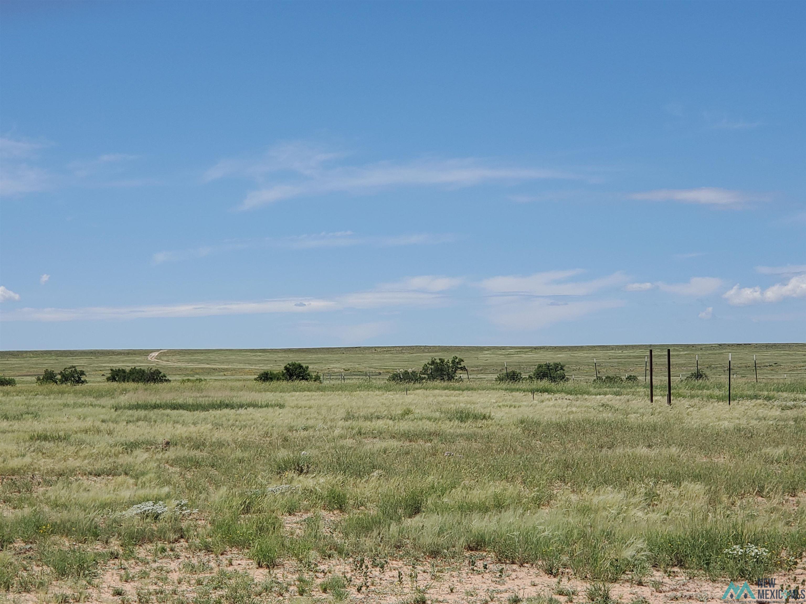 Blanco Rosa Roswell, NM 88203 - Photo 9 of 12 Gallery Image 9