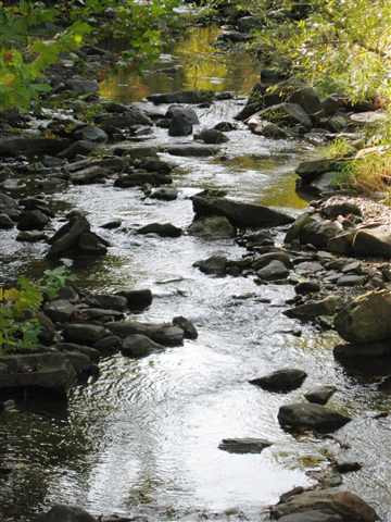 1687 Huntersland Road Middleburgh, NY 12122 - Photo 8 of 9 Photo 8