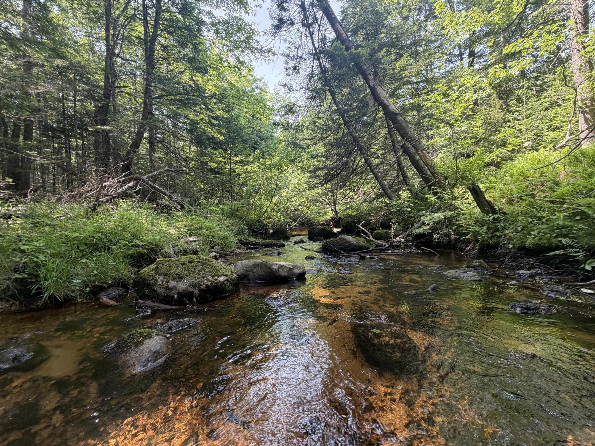 R13-30.2 Buckfield Road South Paris, ME 04281 - Photo 2 of 39 Stream