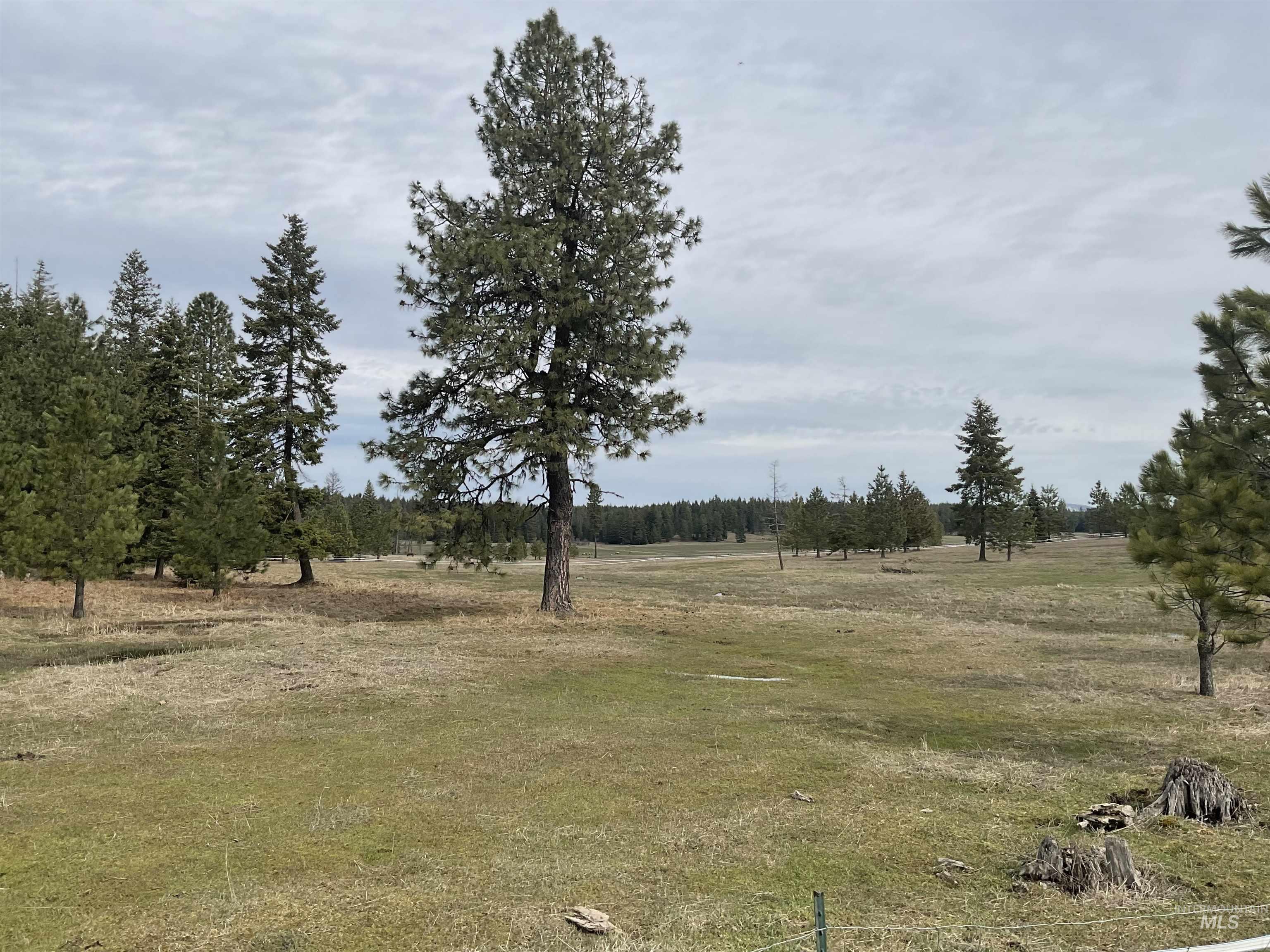 10749 Upper Fords Creek Road Orofino, ID 83544 - Photo 12 of 45 View of yard featuring a view of countryside