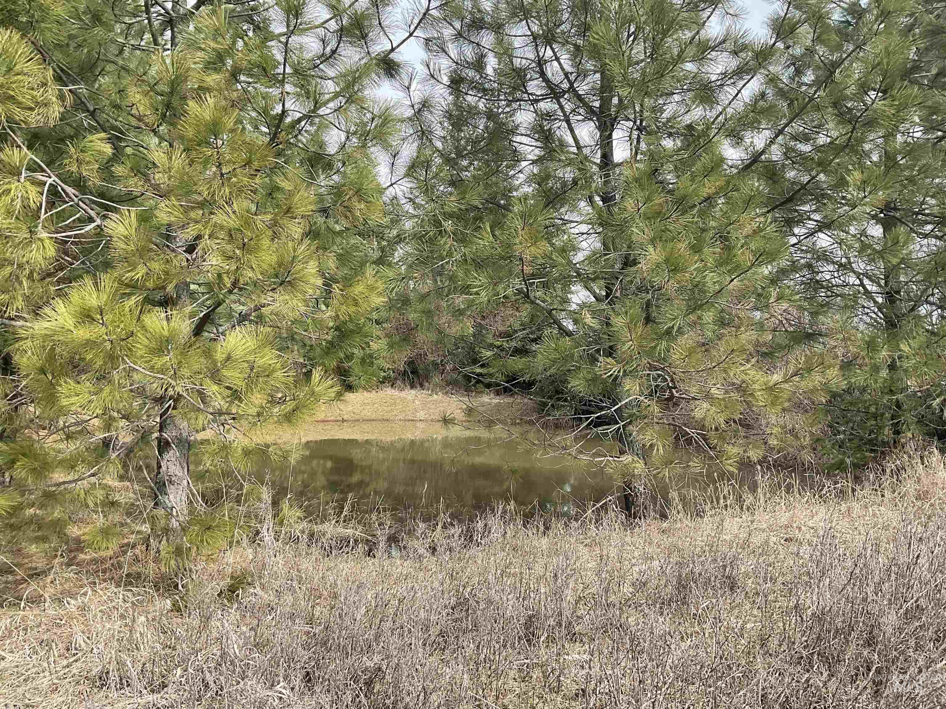 10749 Upper Fords Creek Road Orofino, ID 83544 - Photo 13 of 45 View of local wilderness featuring a large body of water