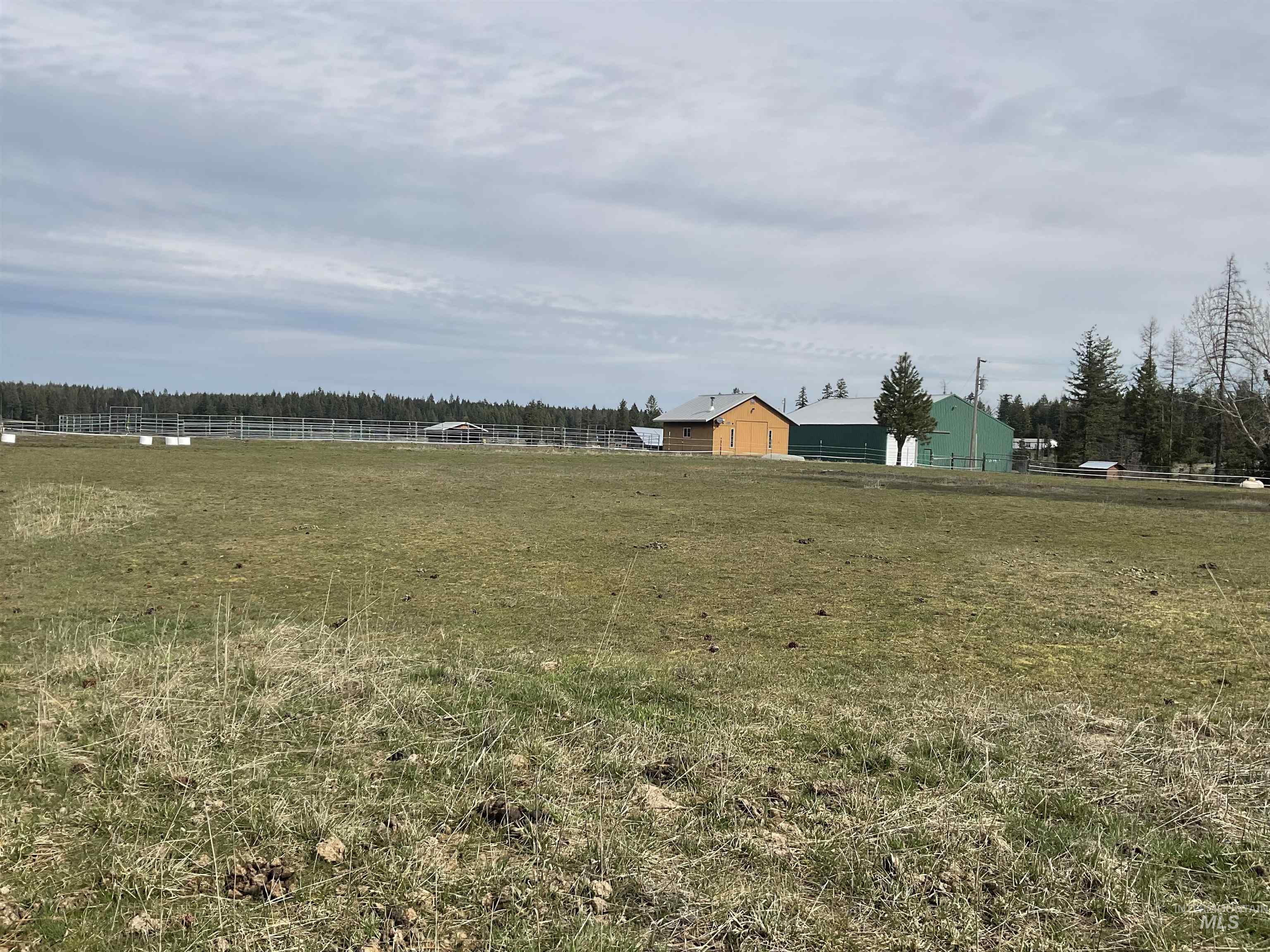 10749 Upper Fords Creek Road Orofino, ID 83544 - Photo 14 of 45 View of yard