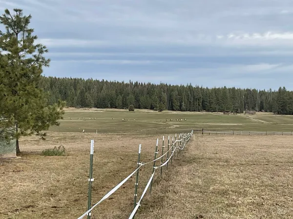 $759,000 | 10749 Upper Fords Creek Road, Orofino, ID 83544