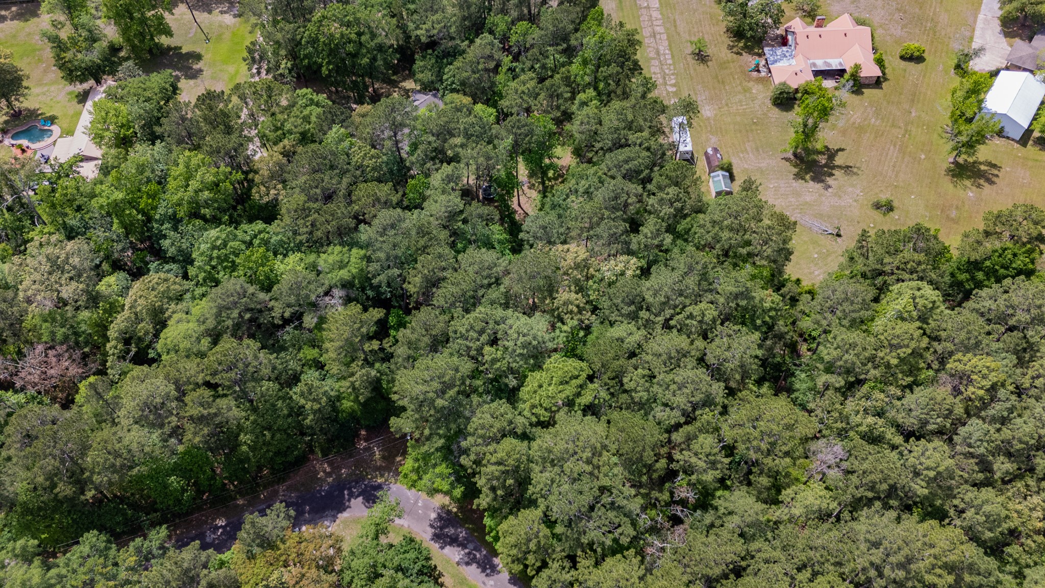 Tbd West Laurelia Road Corrigan, TX 75939 - Photo 12 of 12 an aerial view of a houses with a yard