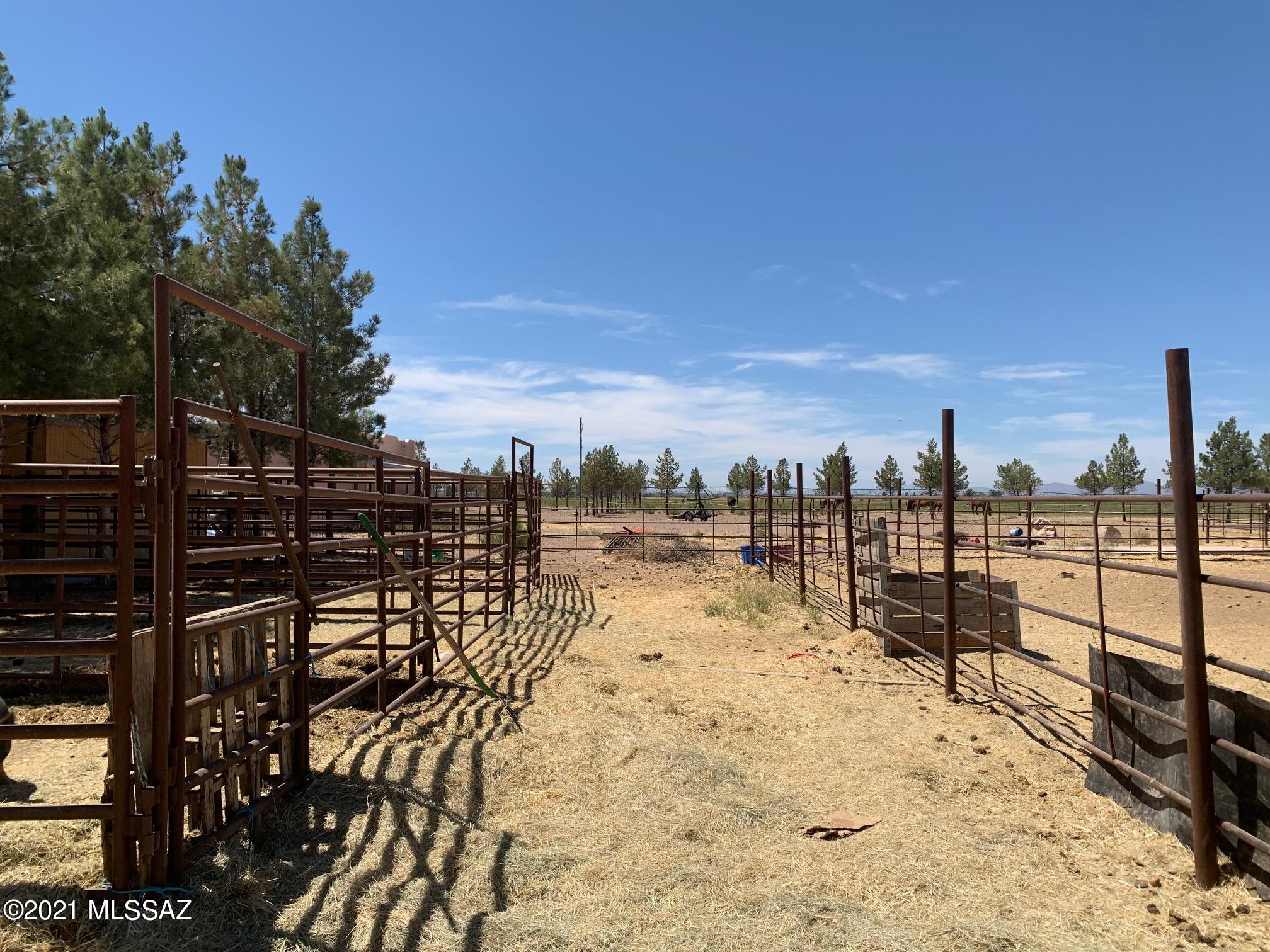 3515 West Gleeson Road Elfrida, AZ 85610 - Photo 34 of 48