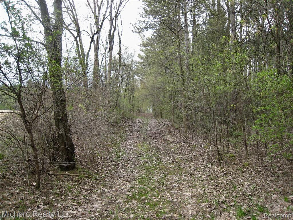 Parcel 2 South Lapeer Road Metamora, MI 48455 - Photo 6 of 17