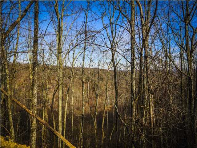 0 Log Road, Unit D 21 Spring City, TN 37381 - Photo 1 of 6 Additional Photo