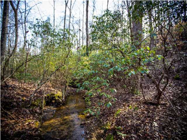 0 Log Road, Unit D 21 Spring City, TN 37381 - Photo 3 of 6 Additional Photo