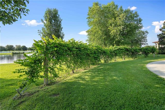 11651 Damiano Road Folsom, LA 70437 - Photo 4 of 55