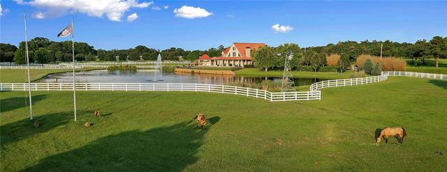 11651 Damiano Road Folsom, LA 70437 - Photo 54 of 55