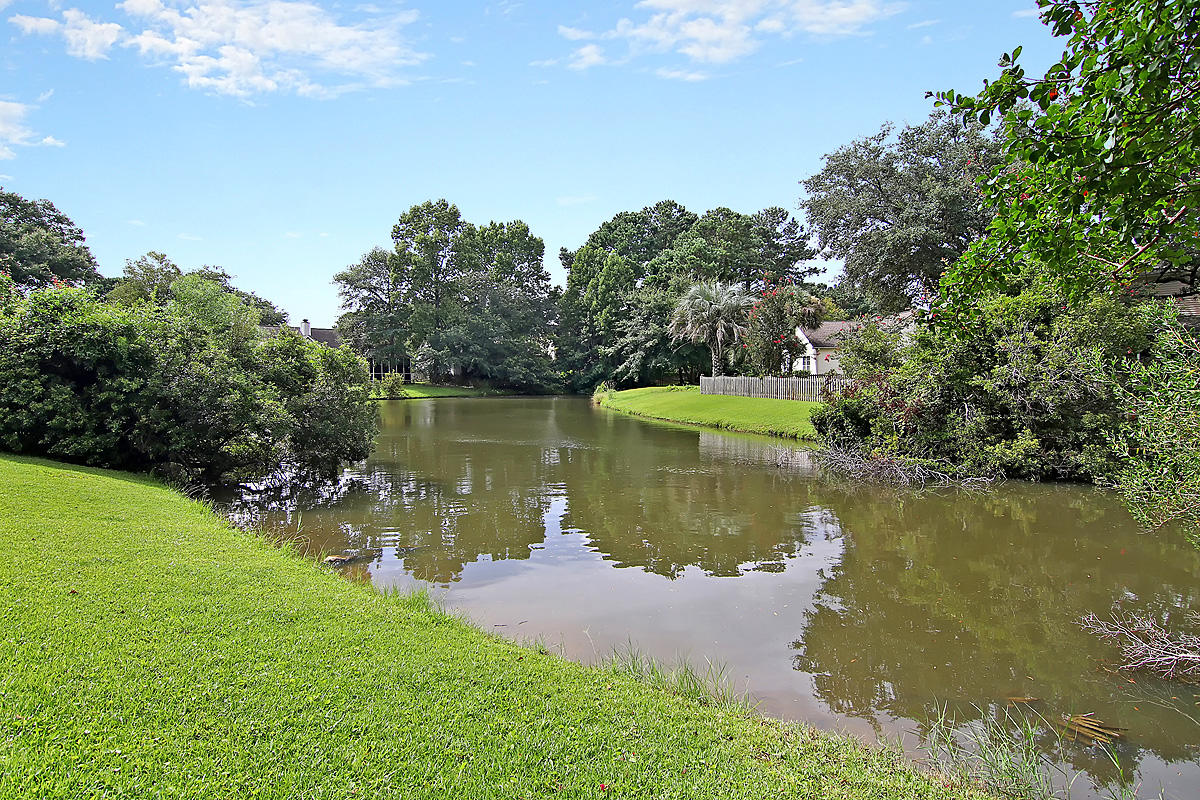 541 Veranda View Mount Pleasant, SC 29464 - Photo 27 of 44 Veranda View_038