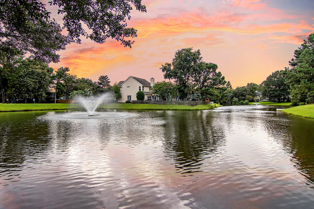 541 Veranda View Mount Pleasant, SC 29464 - Photo 42 of 44 Neighborhood Pond