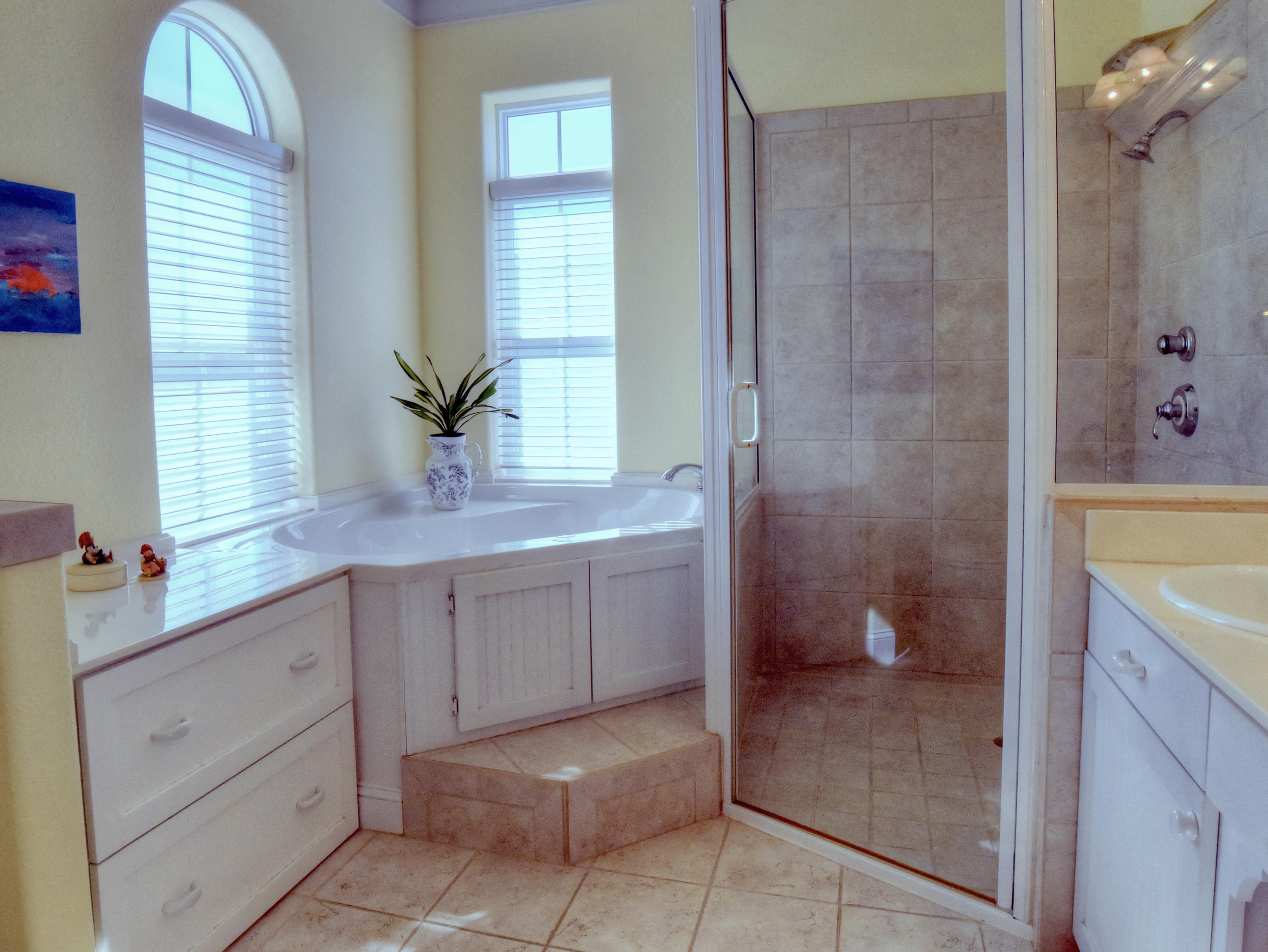 68 Rue Martine Miramar Beach, FL 32550 - Photo 45 of 73 You will love this tub!