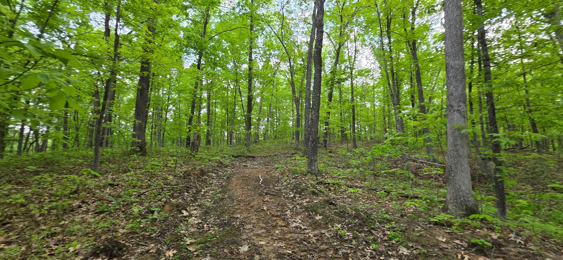 0 Edmundson Road, Unit RIDGE VIEW CABIN BIG TIMBER) Vinton, OH 45686 - Photo 61 of 67 CT-62