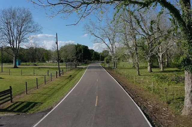 a view of a park with large trees