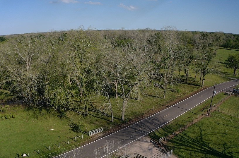 0 County Road 42 Rosharon, TX 77583 - Photo 4 of 14 a view of a forest from a balcony