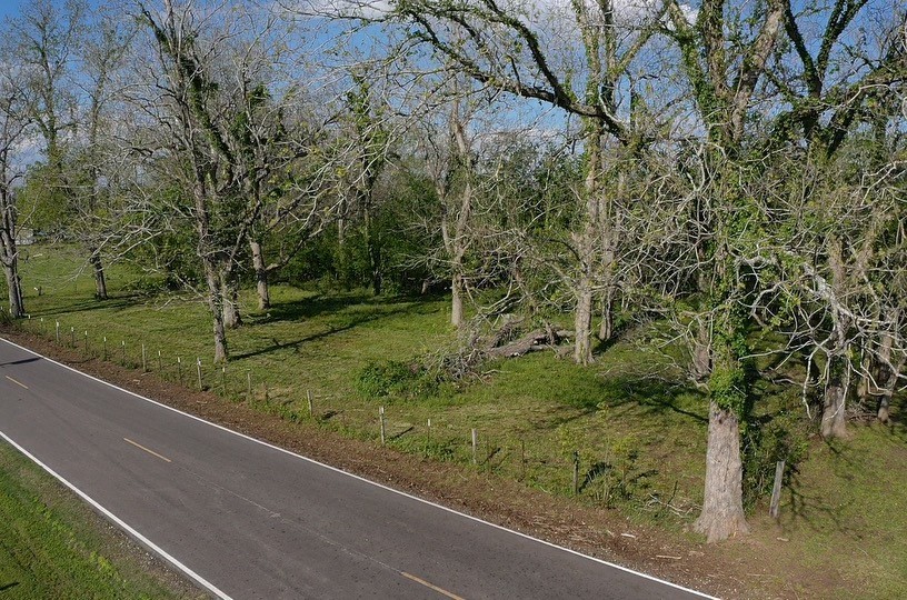 0 County Road 42 Rosharon, TX 77583 - Photo 5 of 14 a view of a garden