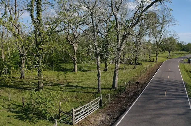 a view of a pathway with a yard