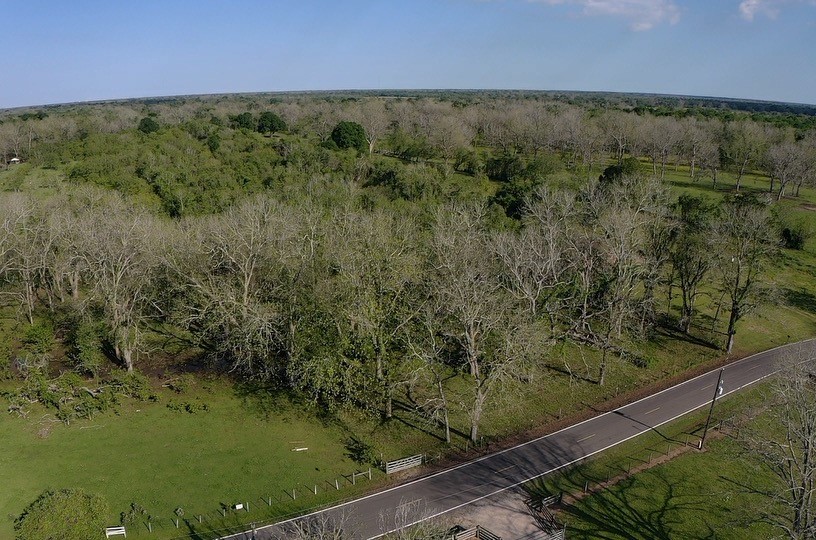 0 County Road 42 Rosharon, TX 77583 - Photo 9 of 14 a view of a lake from a yard