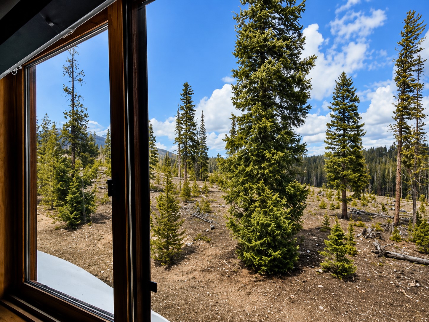 91200 Ryan Gulch Road, Unit 213 Silverthorne, CO 80498 - Photo 17 of 33 a view of a window with a tree