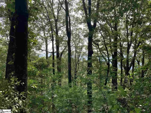 $199,000 | Boulder Lookout Drive, Landrum, SC 29356