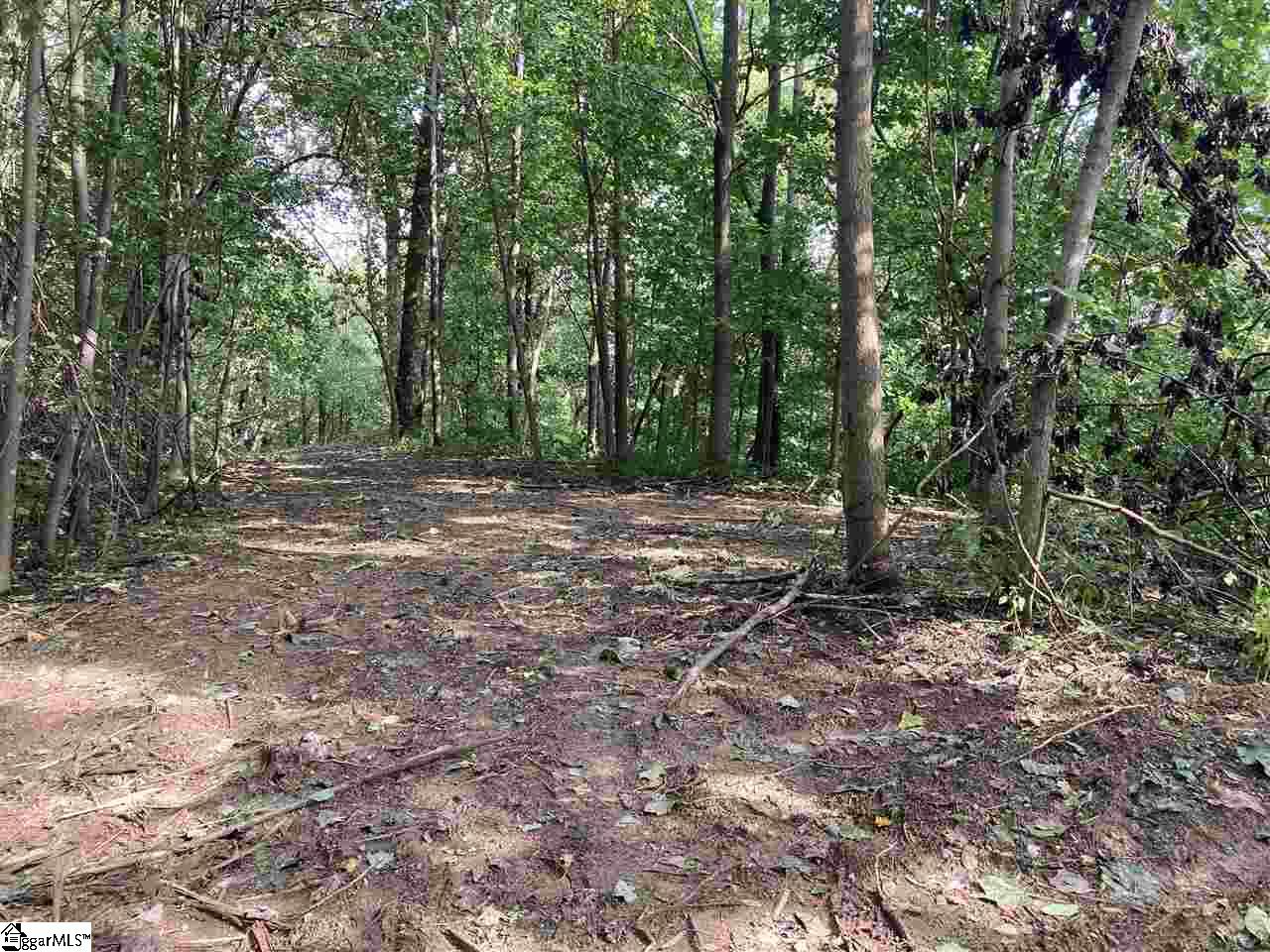 Boulder Lookout Drive Landrum, SC 29356 - Photo 2 of 7