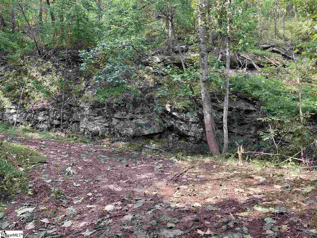 Boulder Lookout Drive Landrum, SC 29356 - Photo 3 of 7
