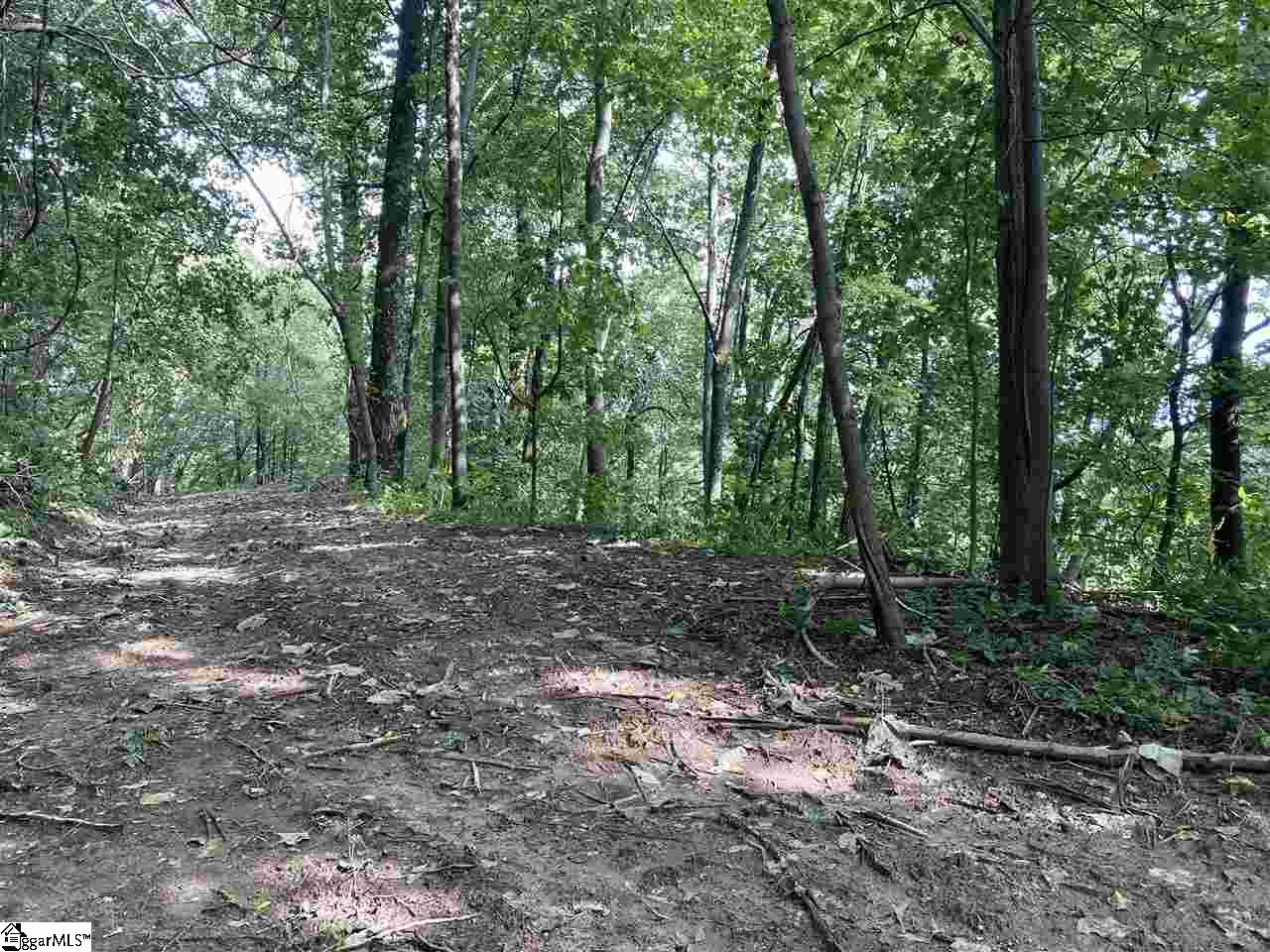Boulder Lookout Drive Landrum, SC 29356 - Photo 5 of 7