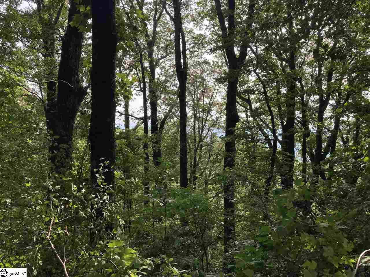 Boulder Lookout Drive Landrum, SC 29356 - Photo 6 of 7