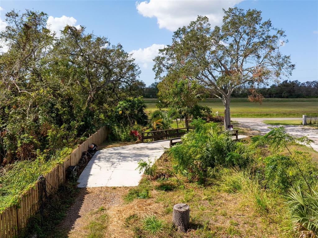 12295 95th Street North Largo, FL 33773 - Photo 6 of 23 a view of a yard with plants and large trees