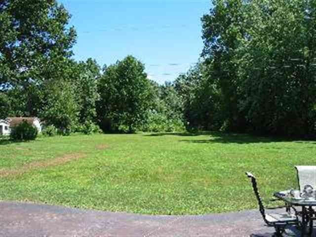 Rear yard