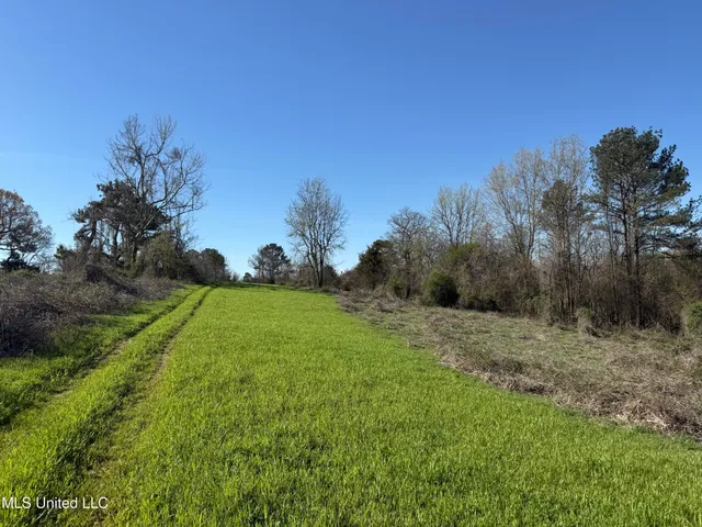 $450,000 | 271 Co Road, Tillatoba, MS 38961