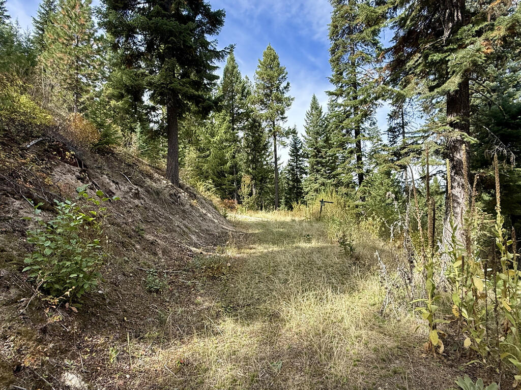 10 Crocus Court, Unit 40 Cascade, ID 83611 - Photo 10 of 16 Driveway for Property Access