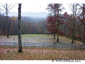 300 Upper Ridgeview Road Columbus, NC 28722 - Photo 5 of 12 a view of a yard with palm trees
