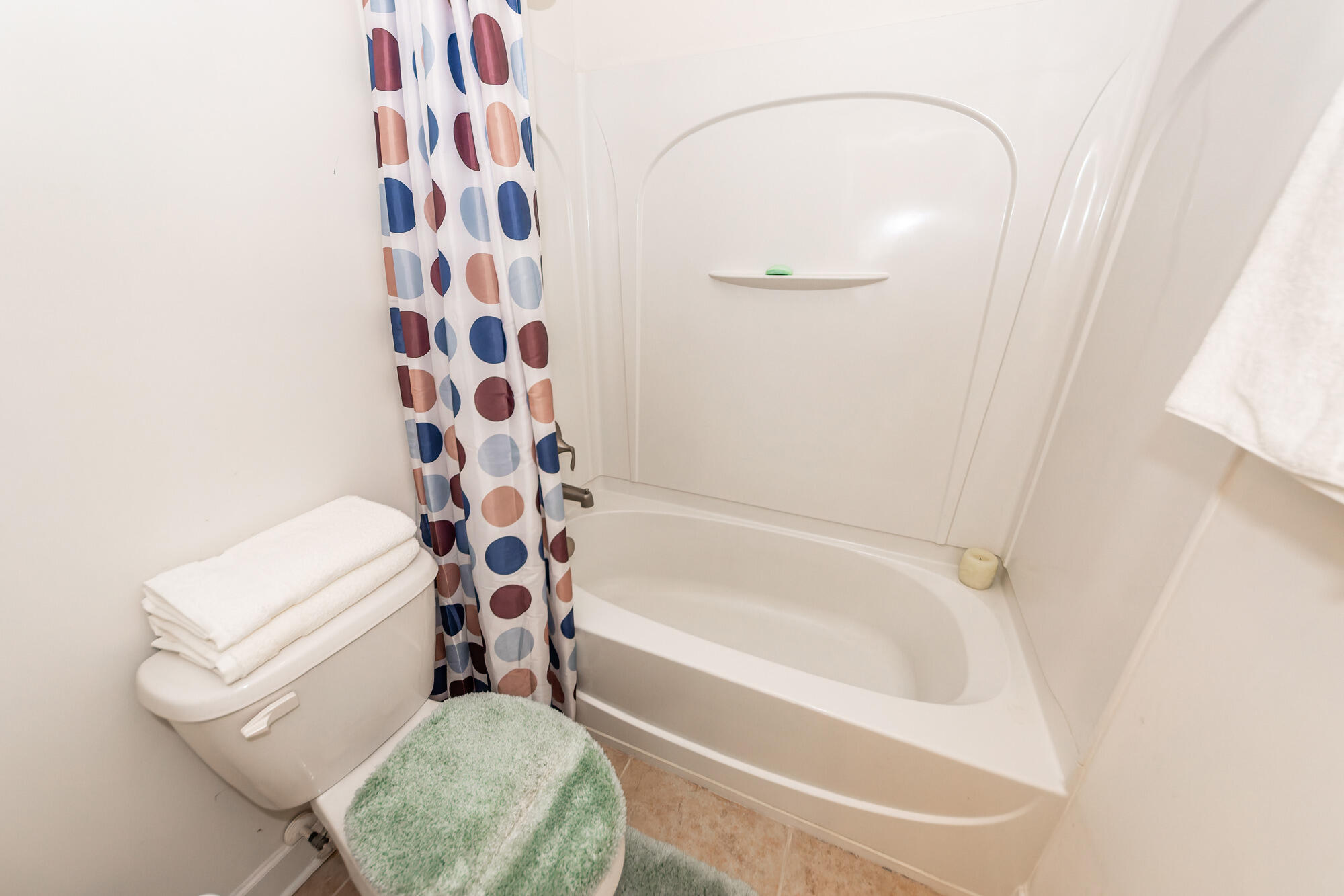 320 Bracken Fern Road Moncks Corner, SC 29461 - Photo 43 of 69 43